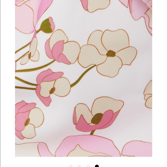 Zimmermann Runway Super Eight Frill Bikini - Picture 6 of 11